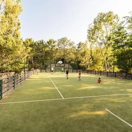 Aux Restanques Du Golfe De St Tropez - Maeva - Climatisé 2 Pièces 2/4 Personnes, Vue Mer, Facile D'accès - Sélection - Super Mae-9371 Appartamento Grimaud